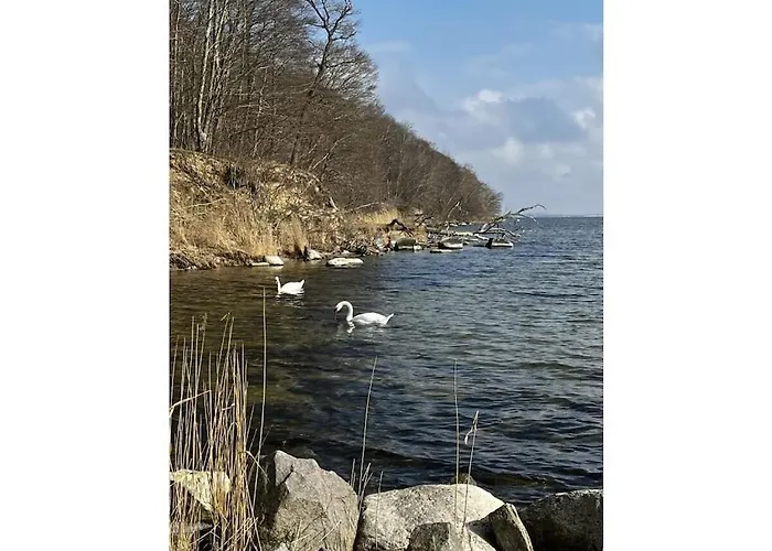 Dom wakacyjny Penthouse Sea View Lauterbach (Rugen)